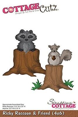 Stanze Waschbär und Eichhörnchen