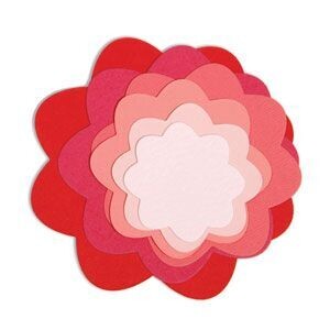Stanze Blumen