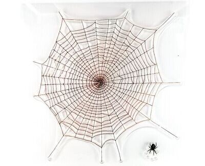 Clear Stempel Spinnennetz