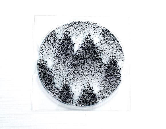 Clear Stempel Wald