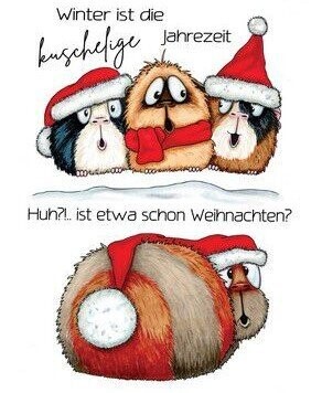 Clear Stempel Meerschweinchen Weihnachten