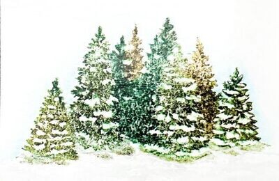 Stempel Wald