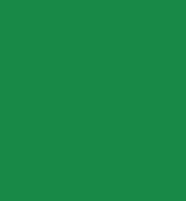 Moosgummi Platte grasgrün DinA 4