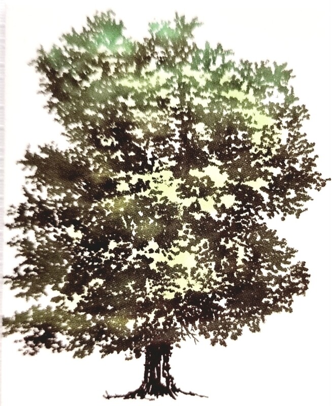 Stempel Laubbaum