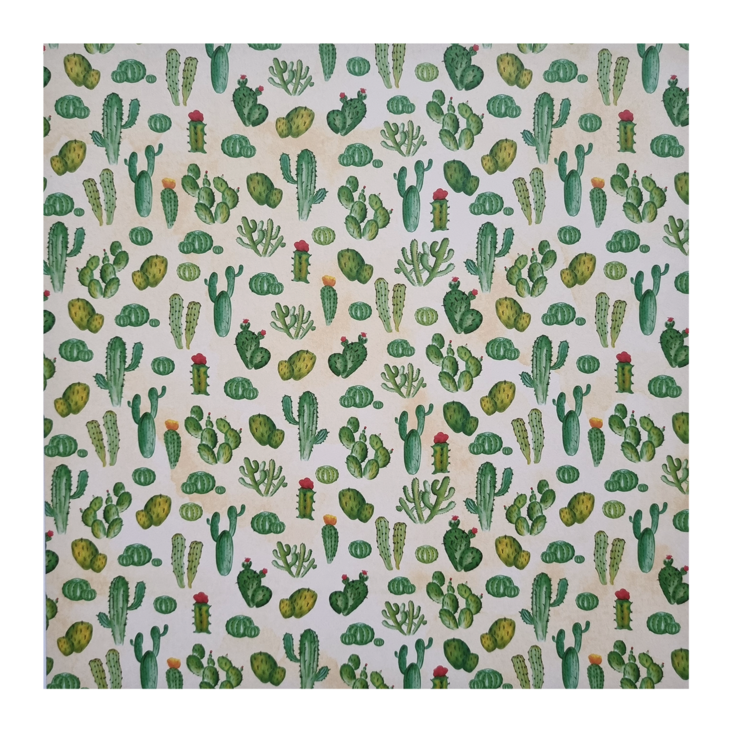 Kakteen Scrapbook Papier