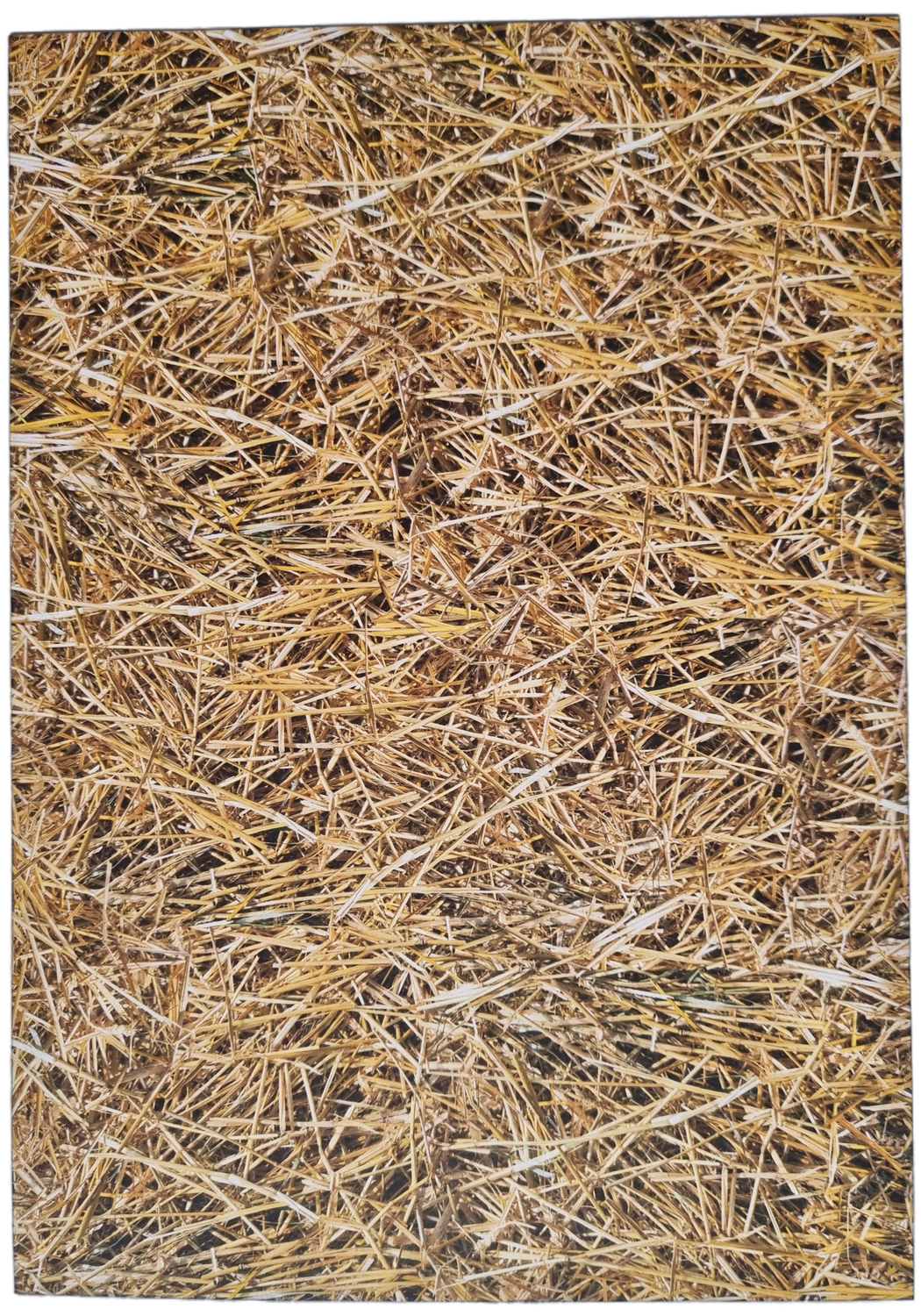 Stroh Designpapier DinA4