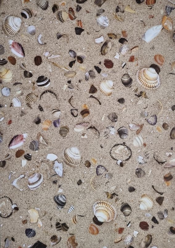 Sand mit Muscheln - Designpapier DinA4 Sand mit Muscheln - Designpapier DinA4