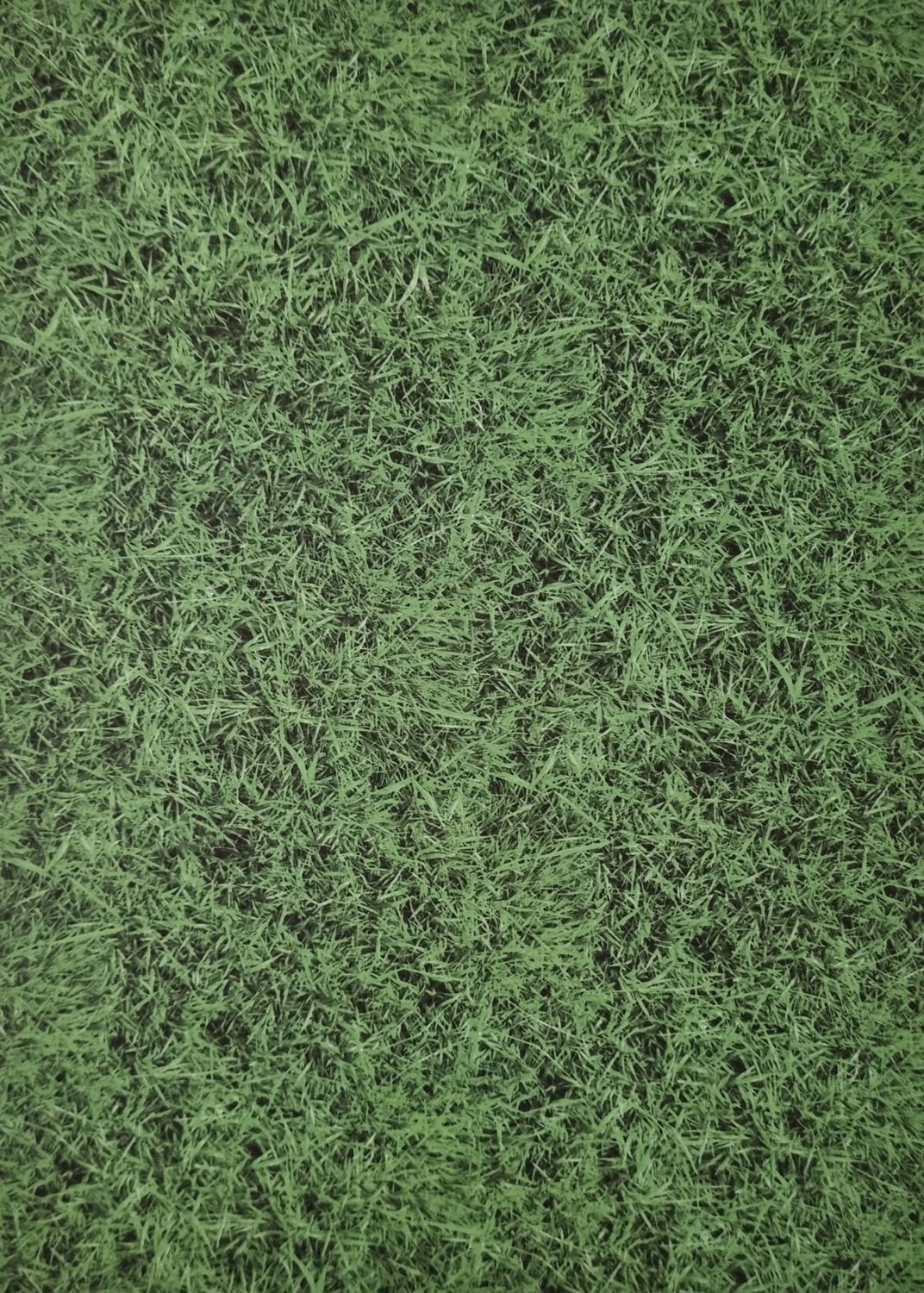Gras - Hintergrundpapier DinA4