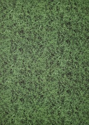 Gras - Hintergrundpapier DinA4 Gras - Hintergrundpapier DinA4
