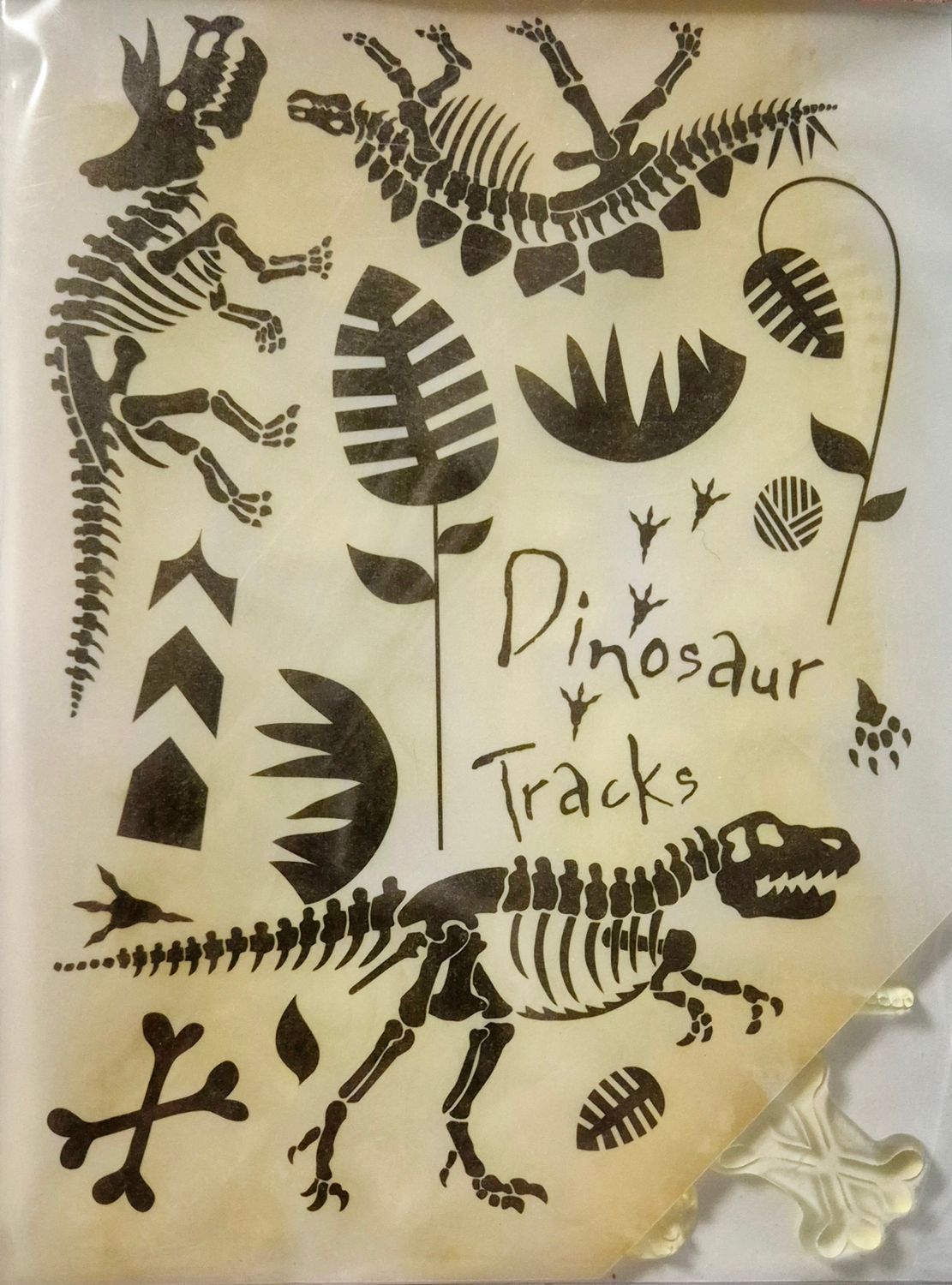 Dino Fossilien
