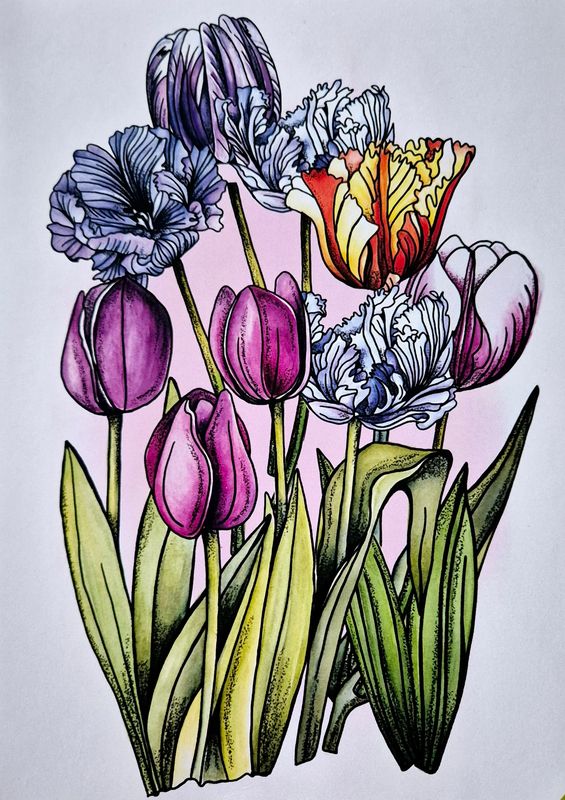 Tulpen Stempel