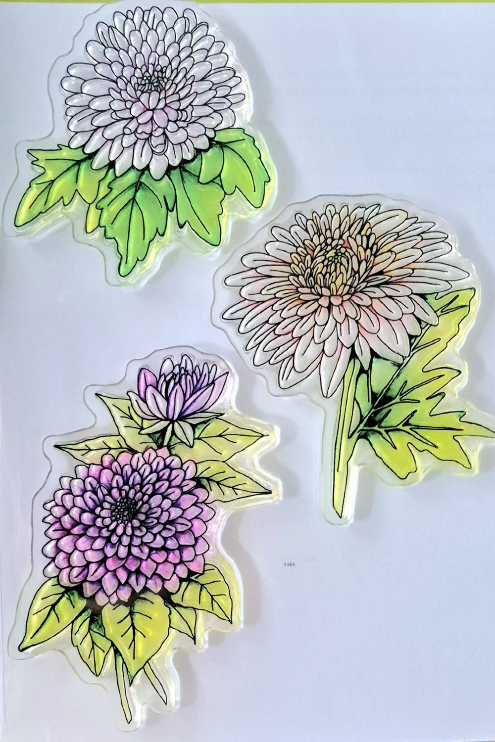 Botanical Summer