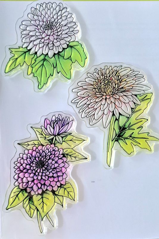 Botanical Summer