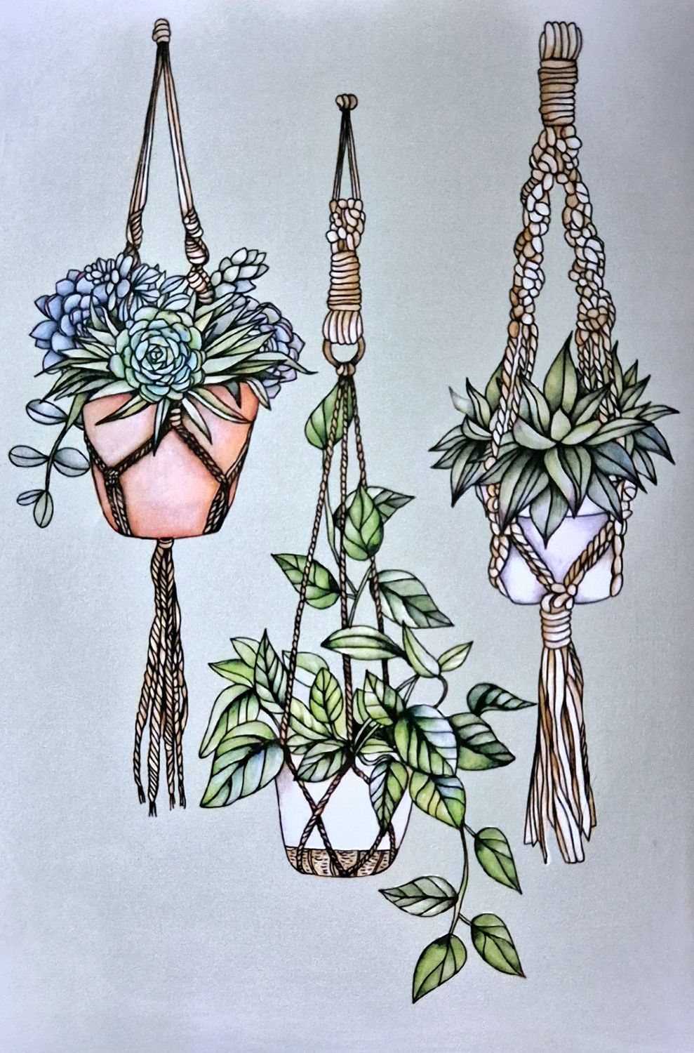 Makramee Blumenampel