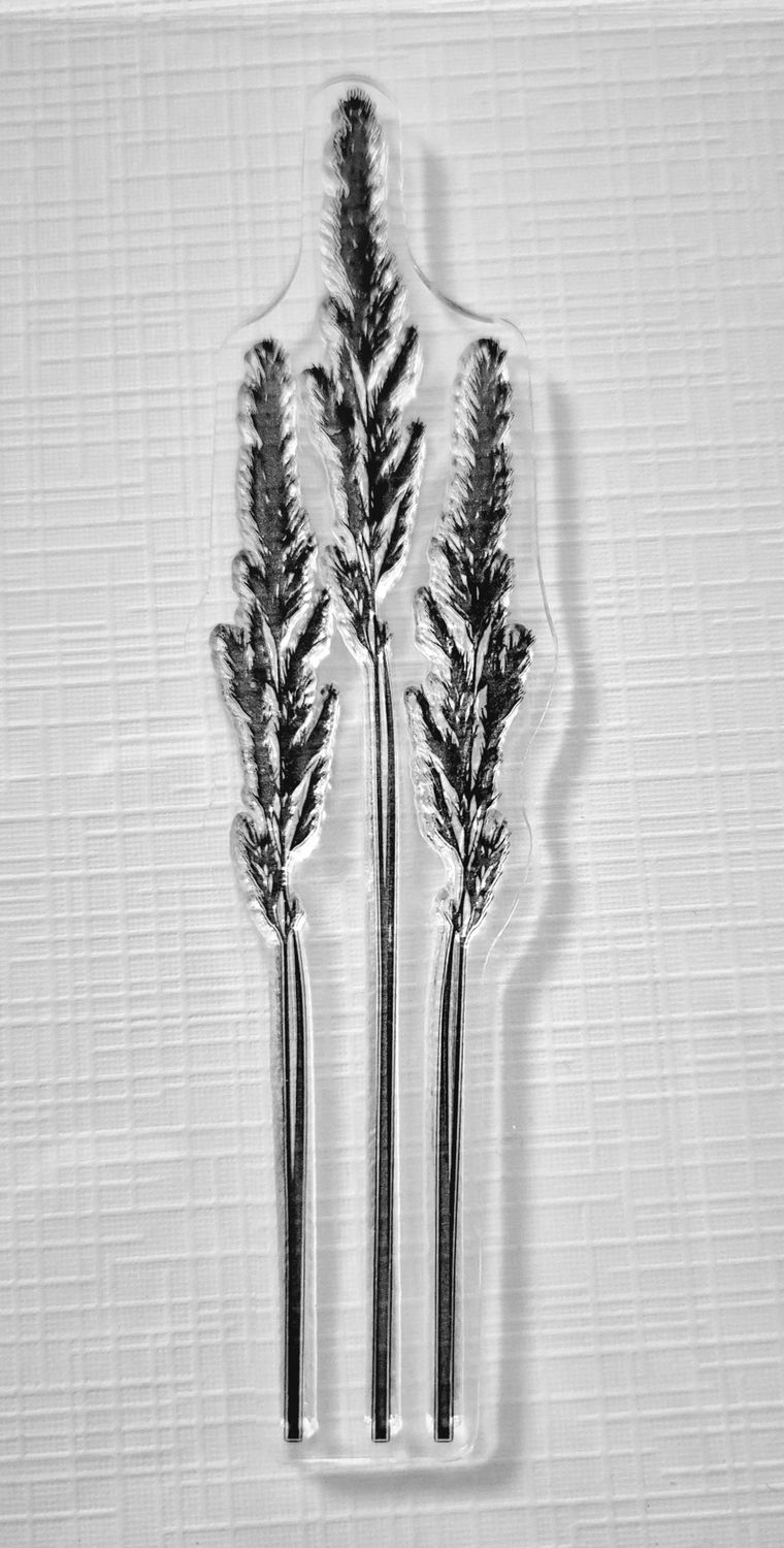 Ähren und Gras II