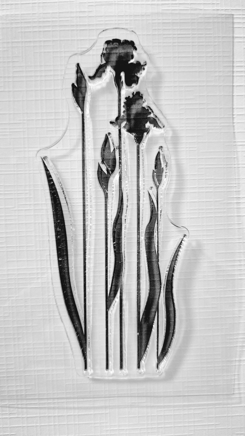 Blüten IV