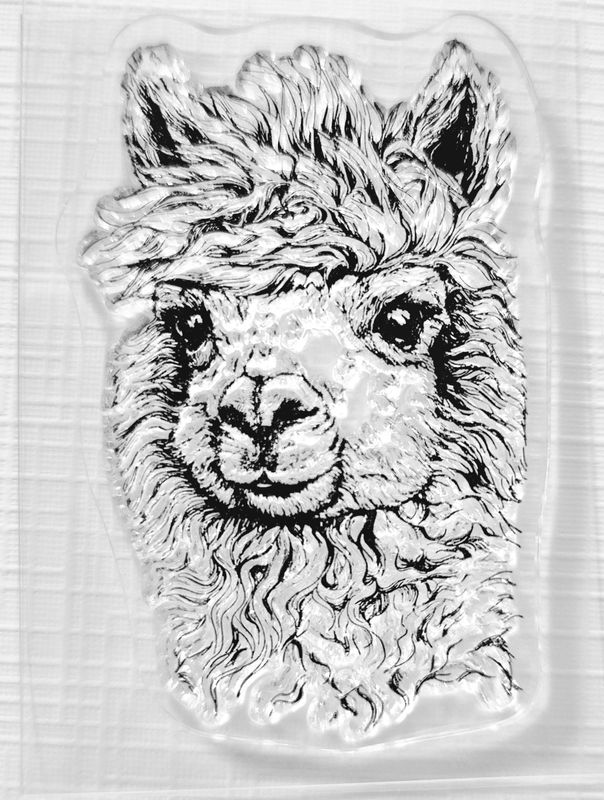 Lama