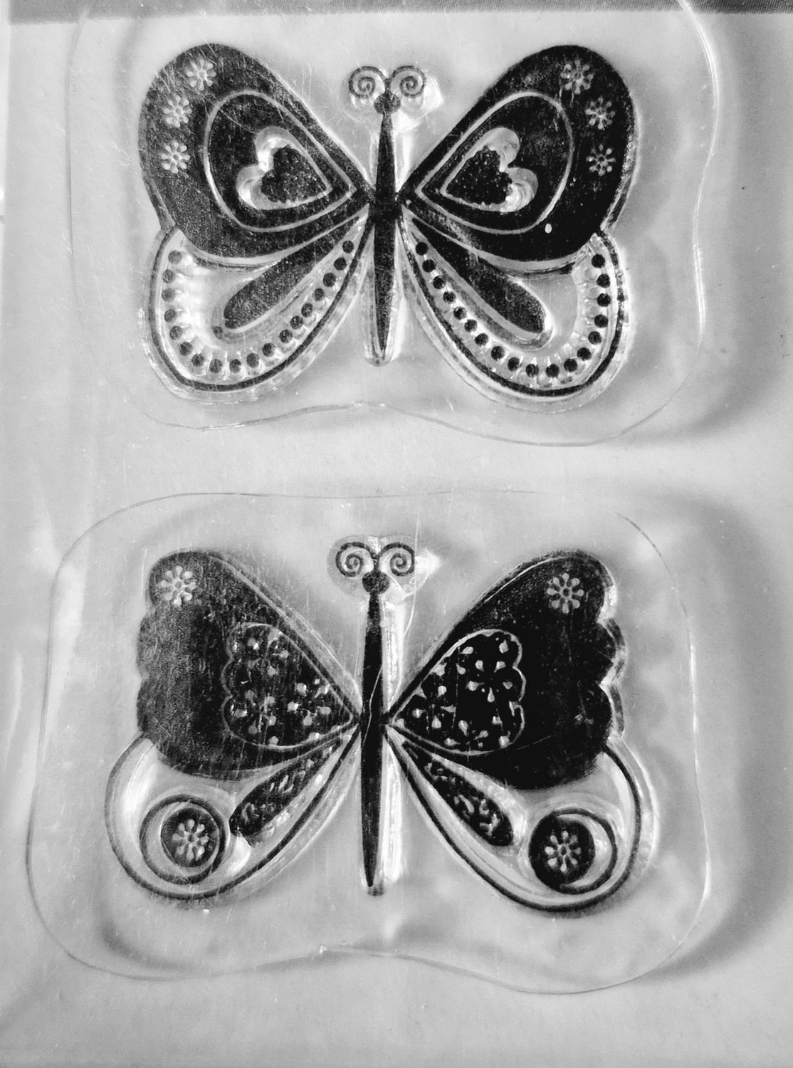 Schmetterling
