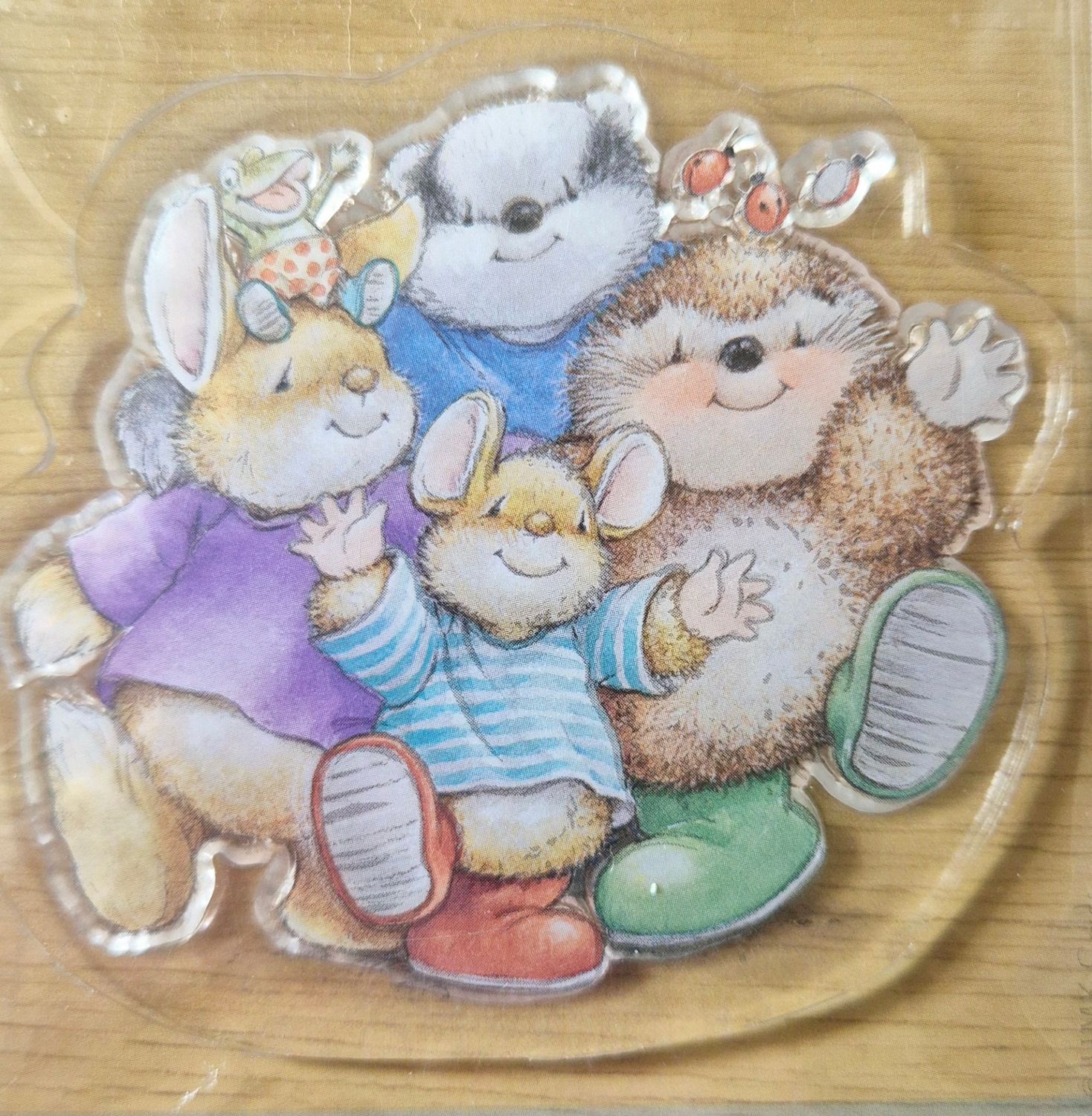 kleiner Frosch und seine Freunde