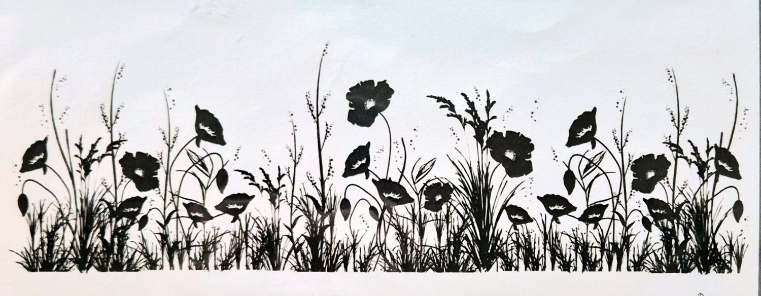 Mohnblumen Wiese