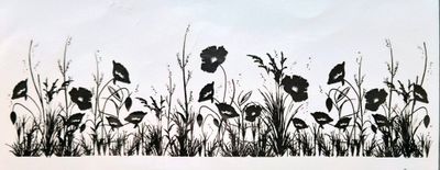 Mohnblumen Wiese