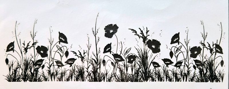 Mohnblumen Wiese
