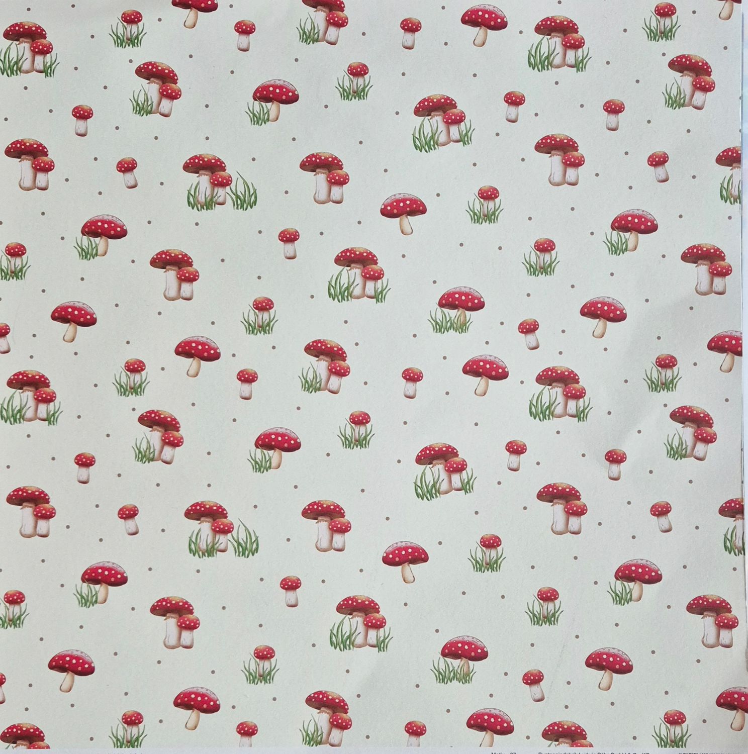 Fliegenpilze Scrapbook Papier