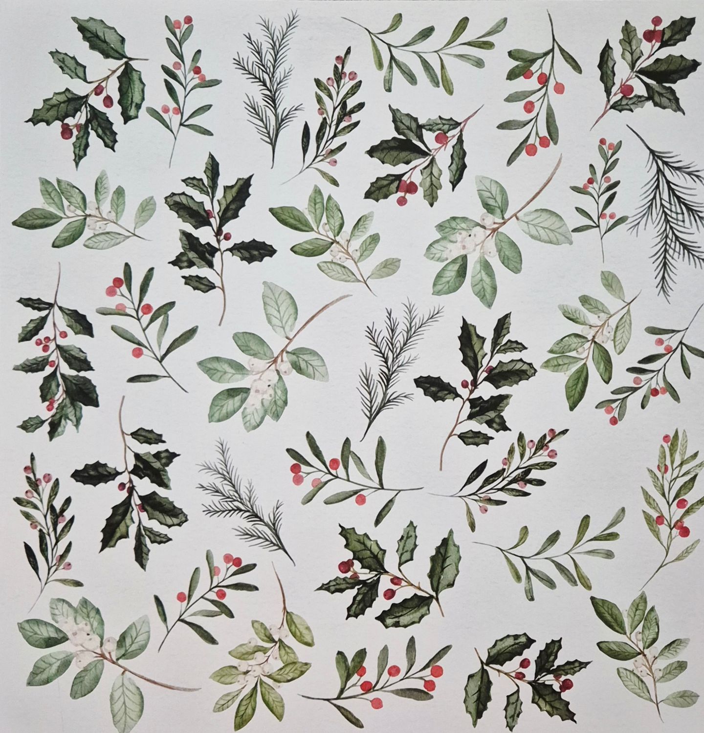 Winterzweige Scrapbook Papier