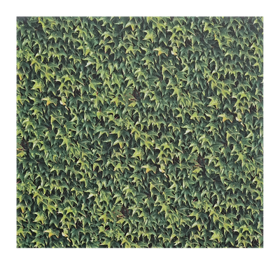 Efeu Scrapbook Papier Efeu Scrapbook Papier