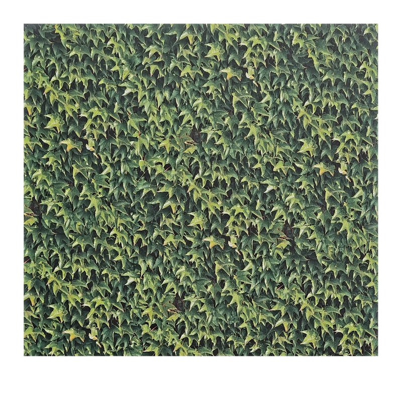 Efeu Scrapbook Papier Efeu Scrapbook Papier