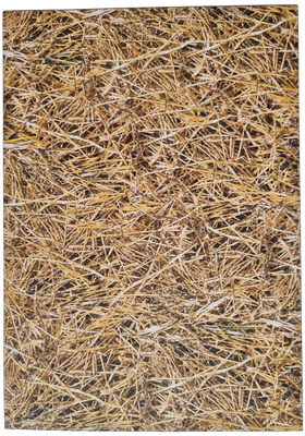 Stroh Designpapier DinA4 Stroh Designpapier DinA4