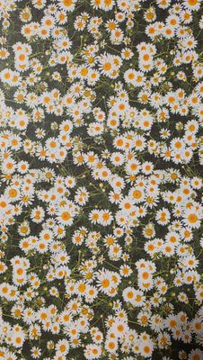 Gänseblümchen Motiv Papier DinA4