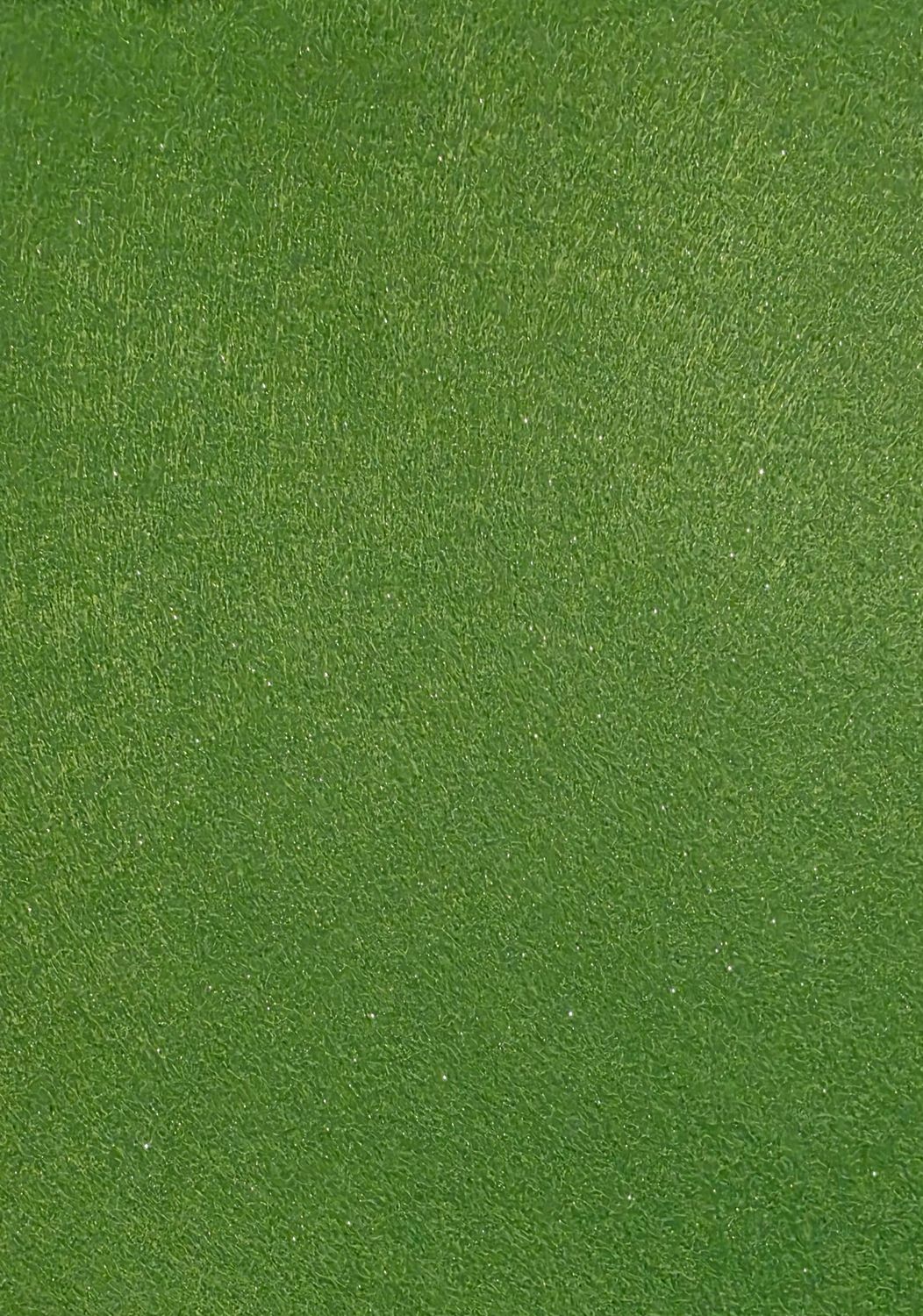Glitter Filz Gras Grün
