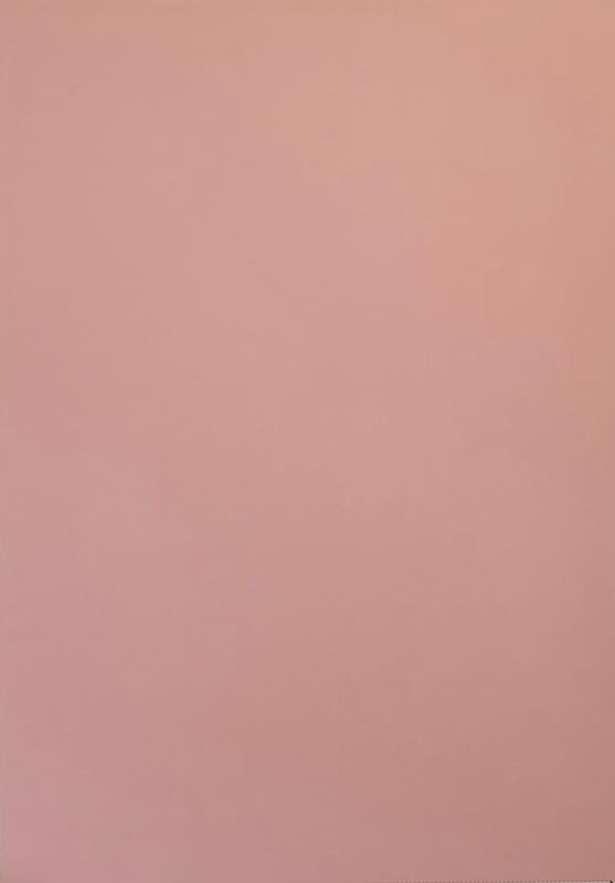 Punkte Rosa / Weiß DinA4