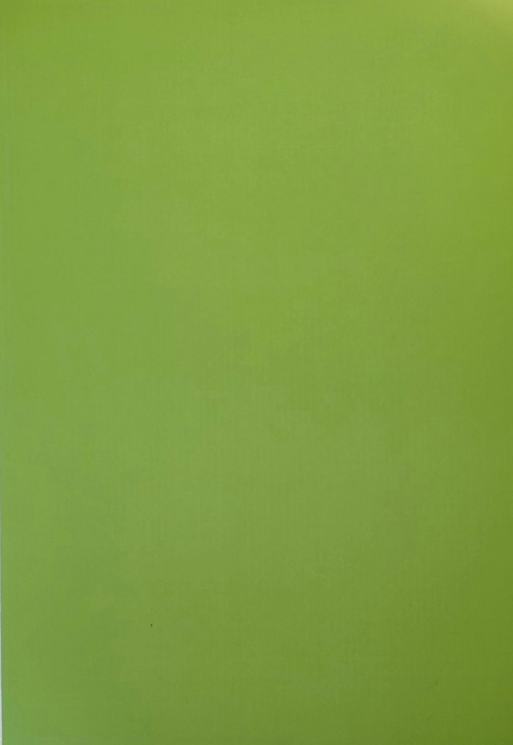 Gestreift Hellgrün/Weiß DinA4