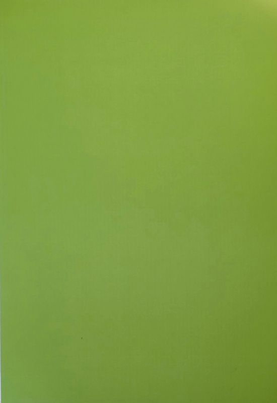 Gestreift Hellgrün/Weiß DinA4