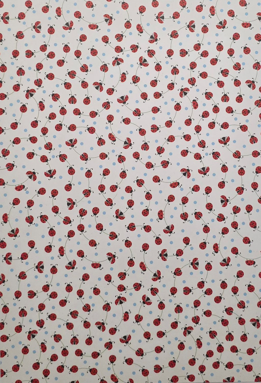 kleine Marienkäfer Motiv Papier DinA4 kleine Marienkäfer Motiv Papier DinA4