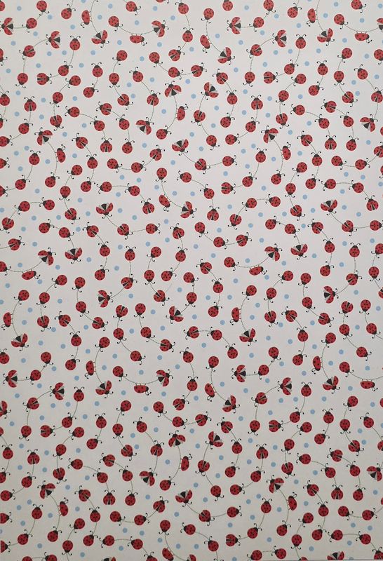 kleine Marienkäfer Motiv Papier DinA4
