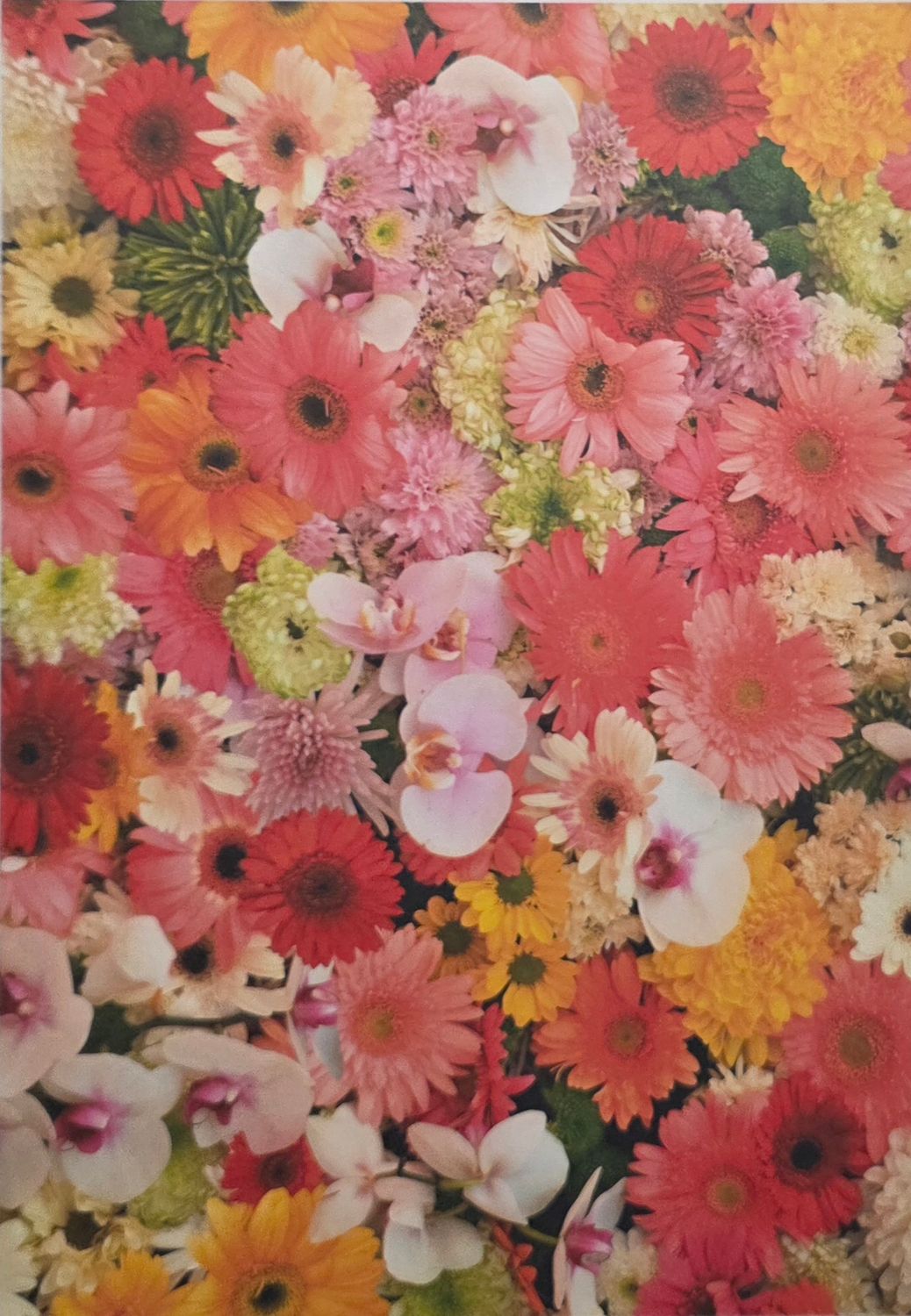 Sommerblumen Motivpapier DinA4