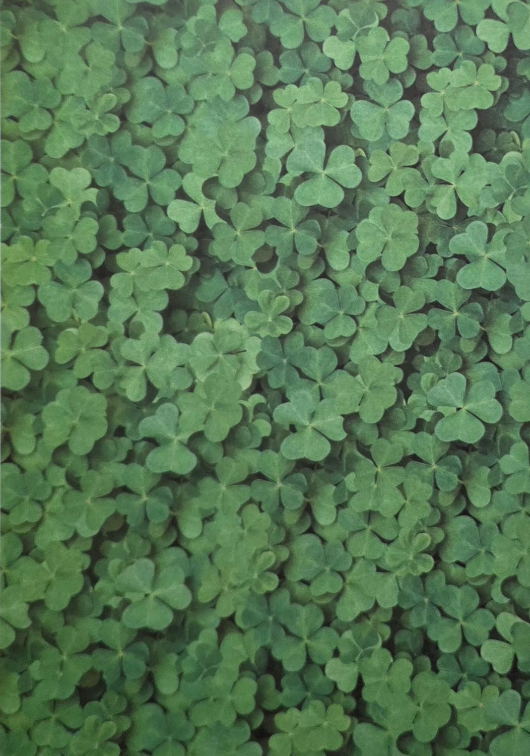 Kleeblätter Motivpapier DinA4