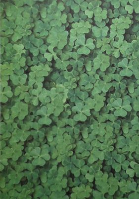 Kleeblätter Motivpapier DinA4