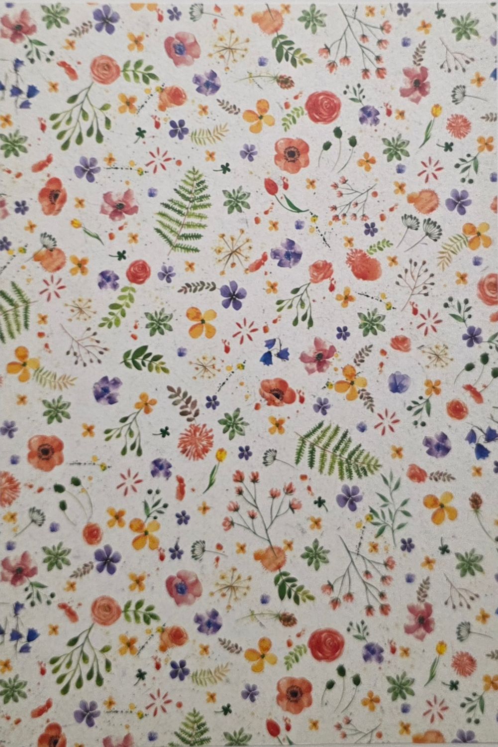 Blüten und Gräser DinA4