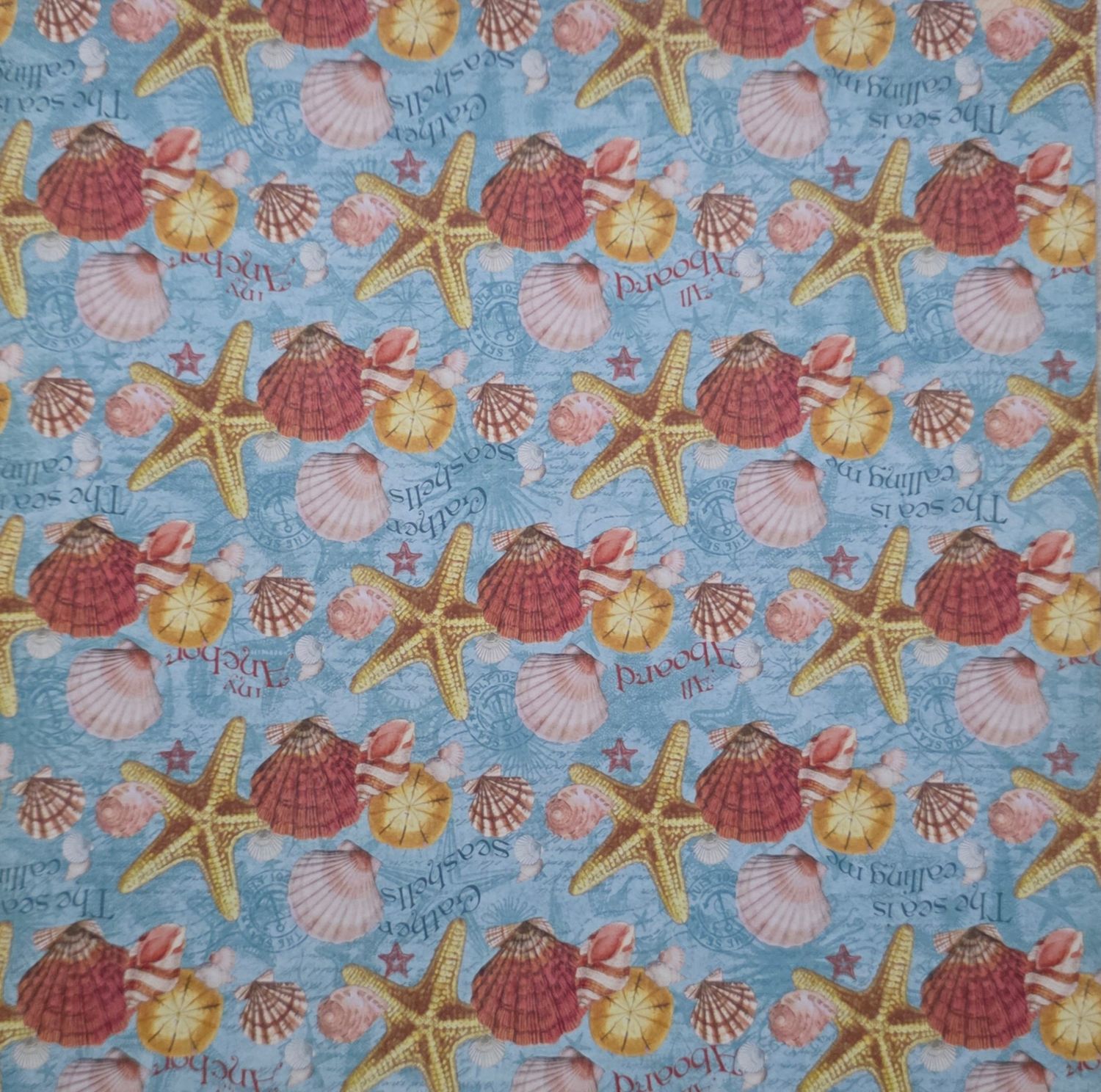 Muscheln und Seesterne Scrapbook Papier Muscheln und Seesterne Scrapbook Papier