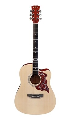 Spear & Shield Acoustic Guitar for Beginners Adults Students Intermediate players 41-inch full-size Dreadnought SPS371PG Free Shipping