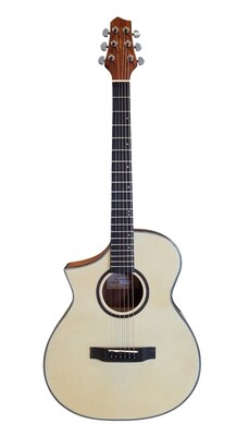 Left handed Acoustic Guitar Natural PPG731LF