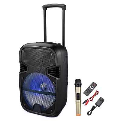 Portable Rechargeable Speaker 12inch