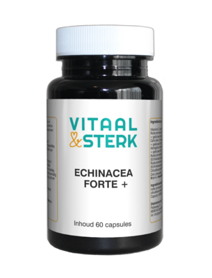 Echinacea Forte Plus van Vitaal & Sterk