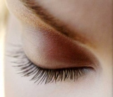 Eyeshadow Palettes