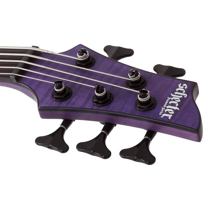 Schecter C-5 GT 5-String Bass, Satin Trans Purple