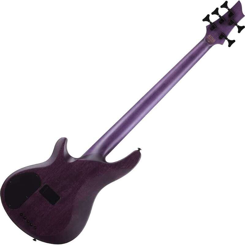 Schecter C-5 GT 5-String Bass, Satin Trans Purple